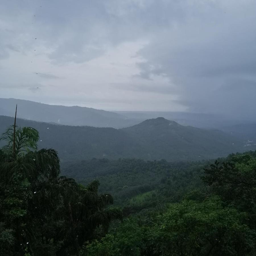 Hôtel Stone Hills à Kannur Extérieur photo